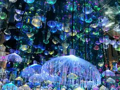 -天津梵高星空艺术馆(天河城旗舰店)