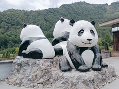 -卧龙中华大熊猫苑神树坪基地