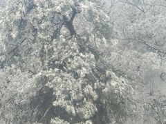 -紫金山索道-售票处