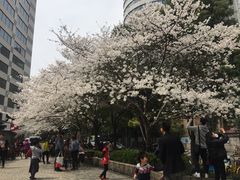 -玛格萝妮比萨屋(四平店)