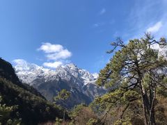 -东巴谷野生菌火锅餐厅