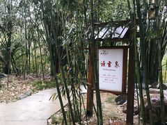 -咸宁万豪温泉谷度假区