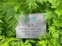 -广州神农草堂中医药博物馆