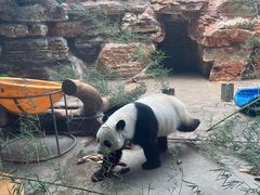 -石家庄市动物园