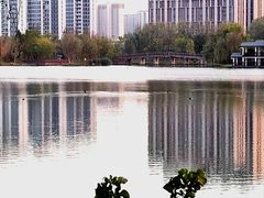 -洋湖国家湿地公园