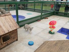 -秦皇岛野生动物园