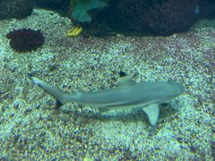 -鸿通城购物中心