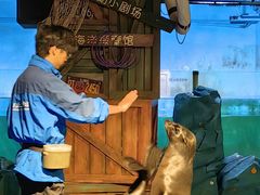 -常州海昌海洋探索馆