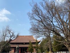 -苏州文庙(姑苏区)