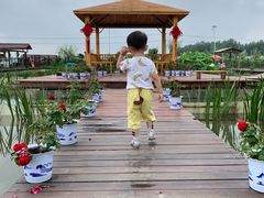 -同銮特种养殖场·龙虾垂钓