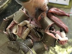 -荔城生鲜盛宴(番禺旗舰店)