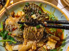 -费明中罗非鱼(大石坝店)
