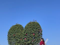 -东莞植物园