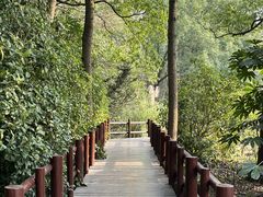 -上海滨江森林公园