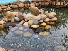 -灵秀温泉