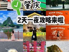 -鼎香皇高佬苏裹蒸粽