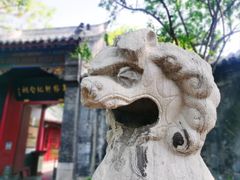 -济南大明湖景区