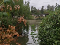 -张公山寨景区