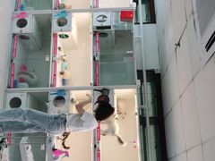 -lincat·猫舍(广州店)