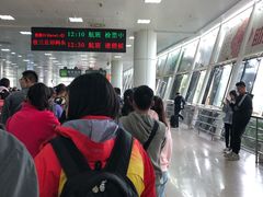 -国际邮轮中心码头(厦鼓码头)