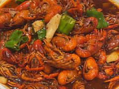 -京悦南门涮羊肉·羊蝎子火锅(田林路店)