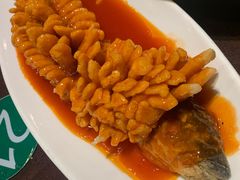 -刘胖子家常菜·蹄花焖藕(中南店)