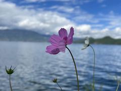 -丽江泸沽湖景区