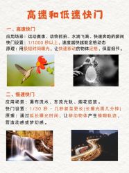 -WAVE SODA摄影工作室