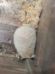 -酷嗒动物文化乐园(cutezoo西溪乐天城店)