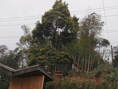 -漫山居私汤民宿全竹宴