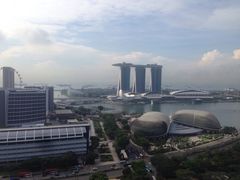 -新加坡瑞士史丹福酒店