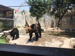 -灵玲国际马戏城