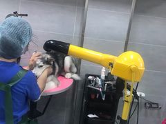 -宠福鑫康馨动物医院·骨科·眼科
