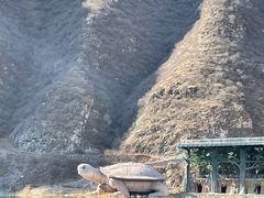 -捞天下大众火锅(水上公园店)