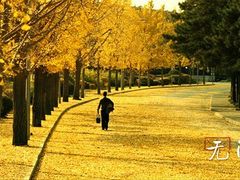 -天幕新彩云国际影城(激光巨幕店)