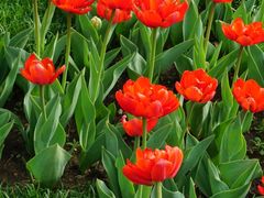 -长春公园(普阳街道)