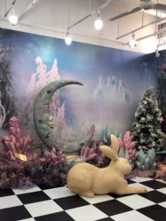 点击看大图 -小阿福儿童摄影(华中智谷店)