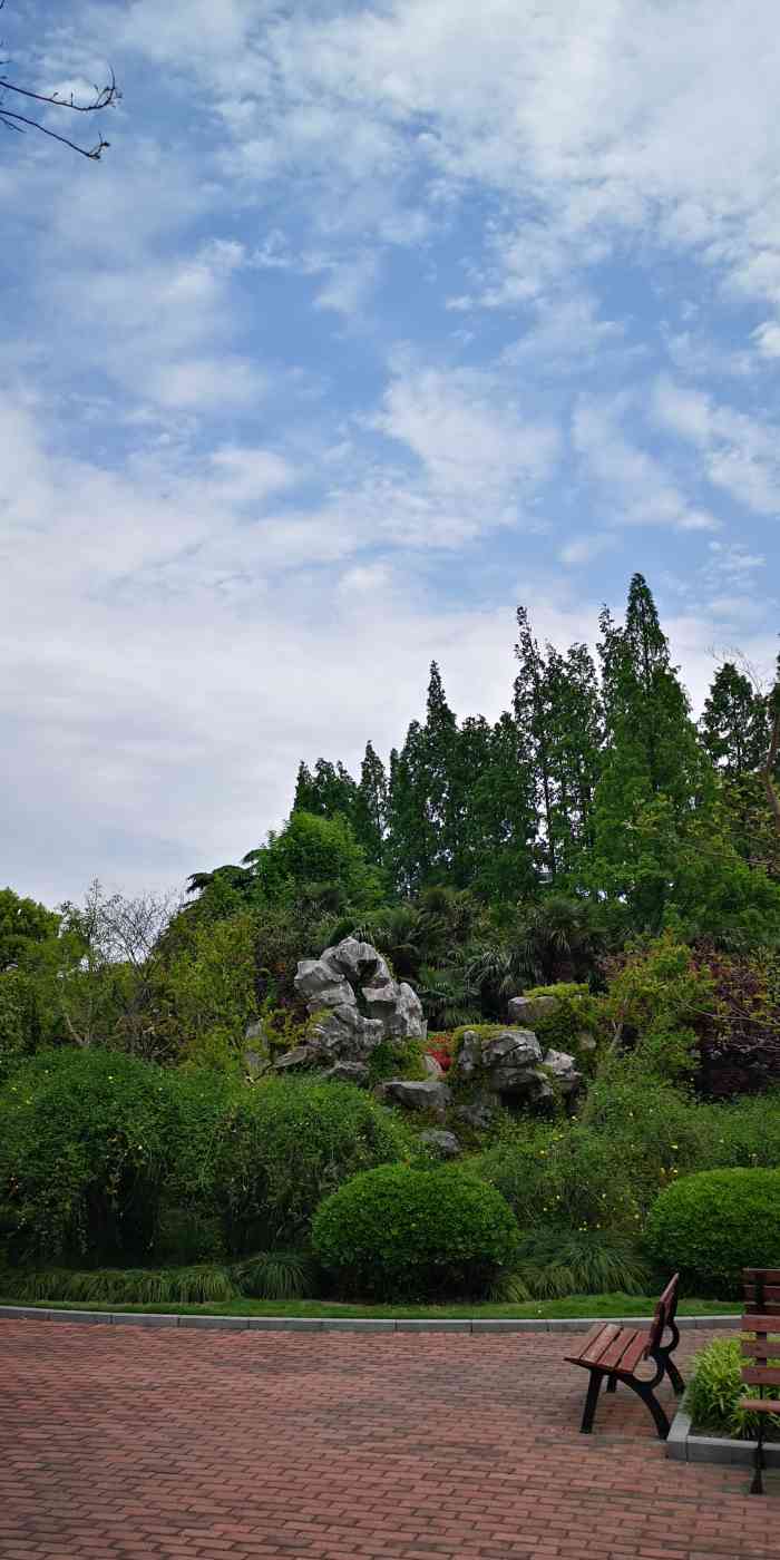 蔓趣公园-"哇塞,这里简直就是附近老年人的聚集地. ."-大众点评移动版