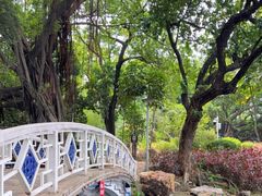 -荔湾湖公园