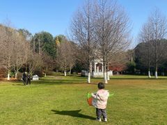 -凤凰沟景区