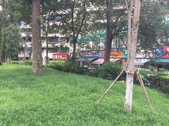 -左撇子私房面