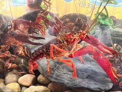 -长沙文和友(海信广场店)