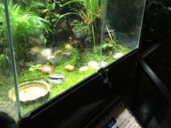 -瑞思英语·少儿英语启蒙(和平·国际商场示范校区)