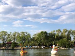 -稻香湖景欢乐岛温泉城堡
