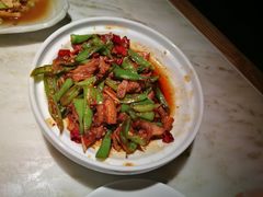 -佬肥猫(国华广场店)