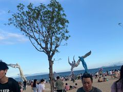 -大梅沙海滨公园