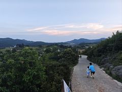 -大姆山草场