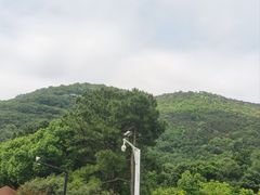 -虞山风景区