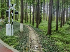-黄海国家森林公园