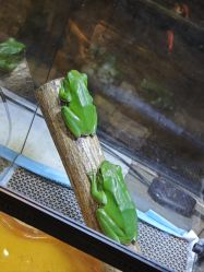 -酷嗒动物文化乐园(cutezoo西溪乐天城店)